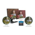 BenQ GW2283 22-Inch Full HD IPS Monitor | Eye-Care, Dual HDMI, Low Blue Light, Built-in Speakers, VESA Wall Mountable – Black - Image 7